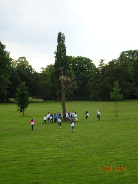 Photo 17-06-16 17 13 41