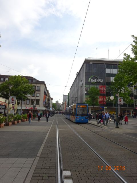 Photo 17-06-16 18 16 58