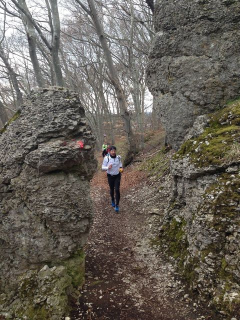 12973460_1061671227209267_6901218834117307957_o