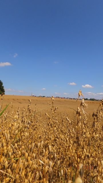 DSCF0037
