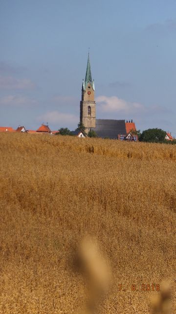 DSCF0038
