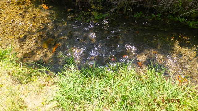 DSCF0058