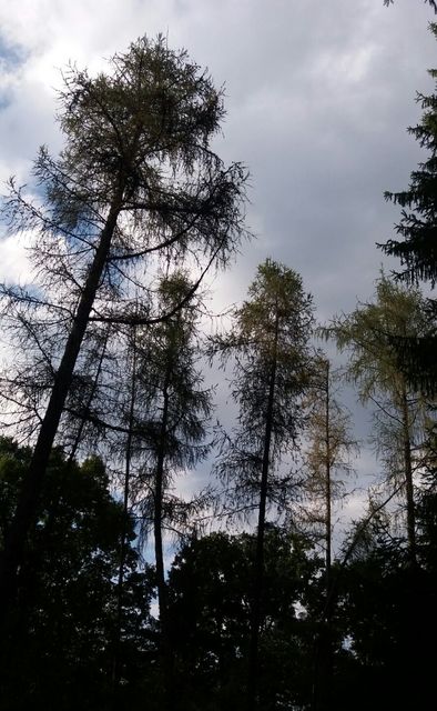 IMG-20160901-WA0006