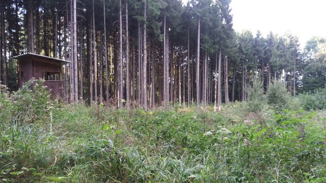 IMG-20160901-WA0008