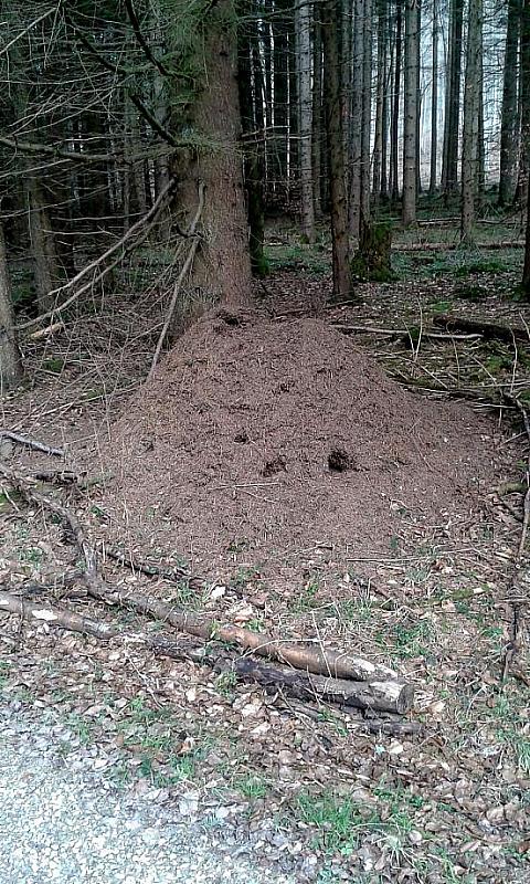 IMG-20160320-WA0004