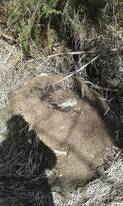 IMG-20160320-WA0026