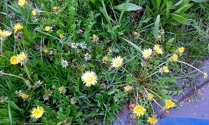 IMG-20160423-WA0033