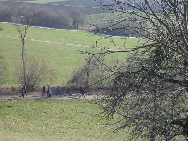 IMG_3505