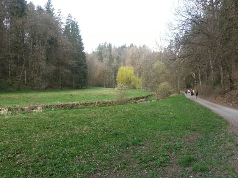 2017-04-03-PHOTO-00009848