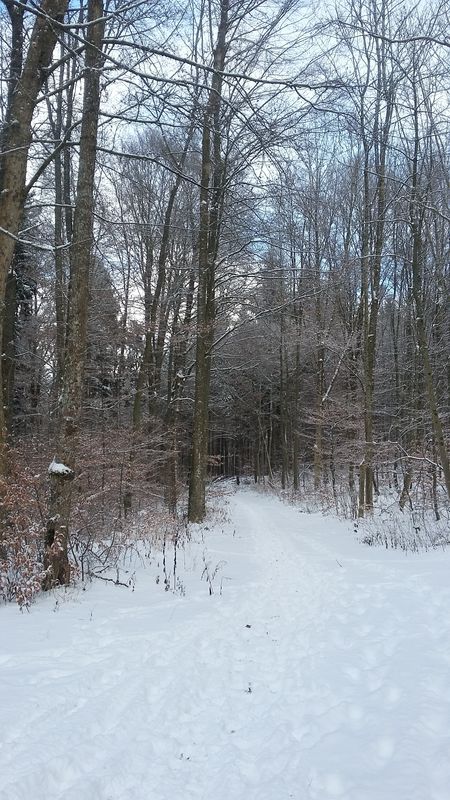 20170106_114515