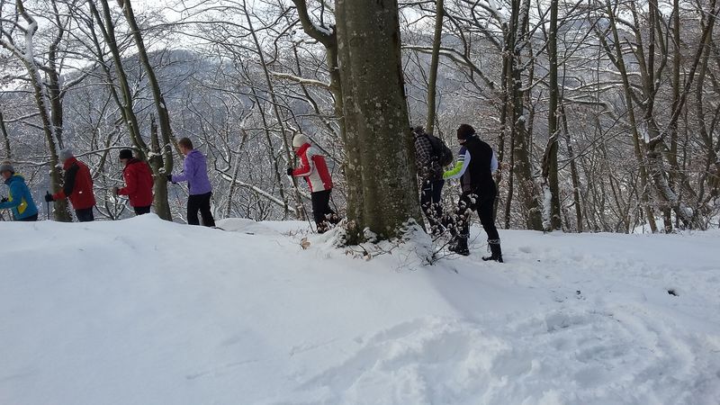 20170106_121041