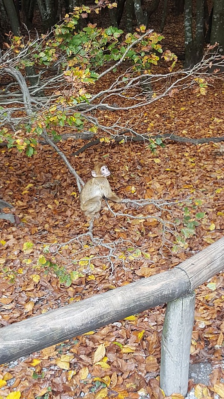 20171022_135420