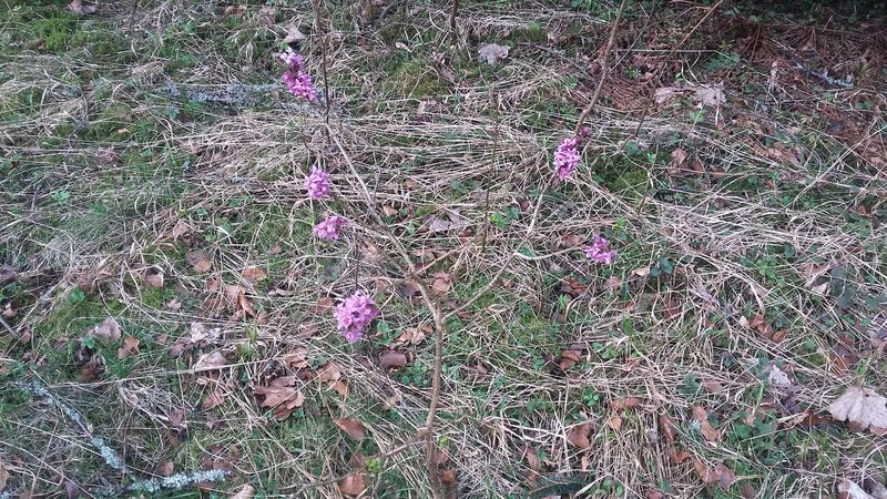 20170326_101504.jpg
