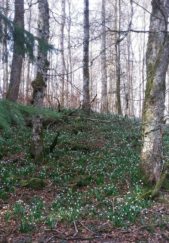 20170326_104856.jpg