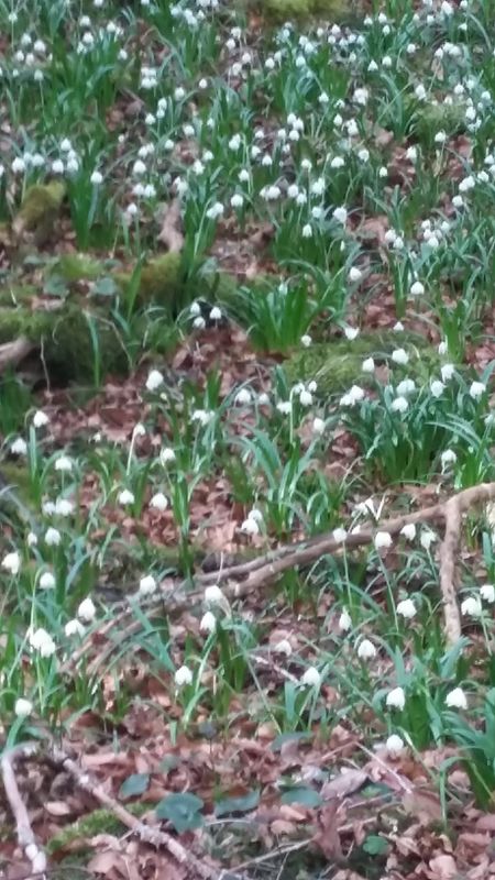 20170326_104907.jpg