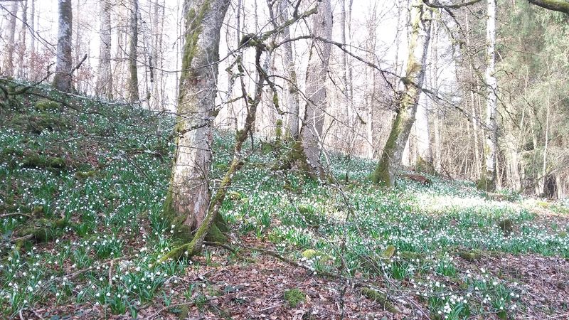 20170326_104930.jpg