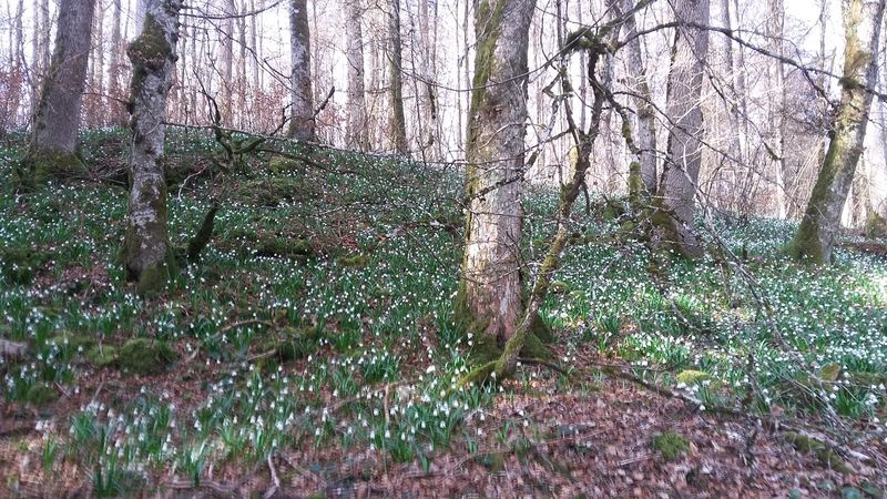 20170326_104936.jpg