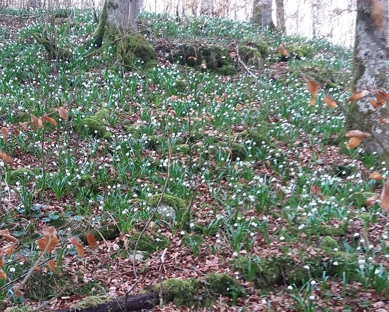 20170326_105000.jpg