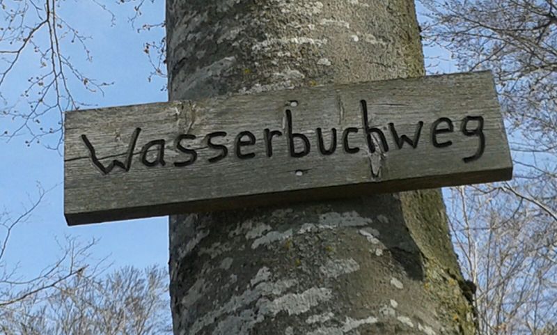 IMG-20170326-WA0006.jpg