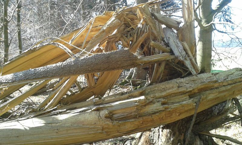 IMG-20170326-WA0014.jpg