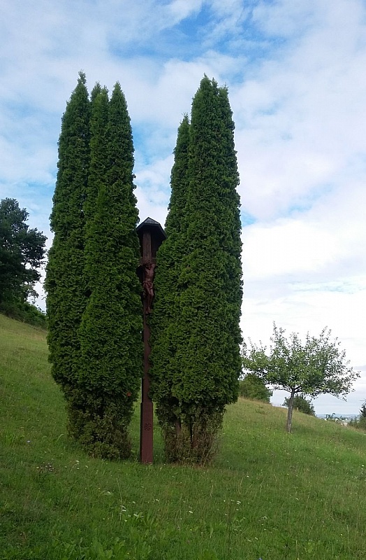 20170813_101337