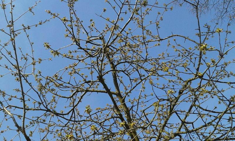 IMG-20170401-WA0013