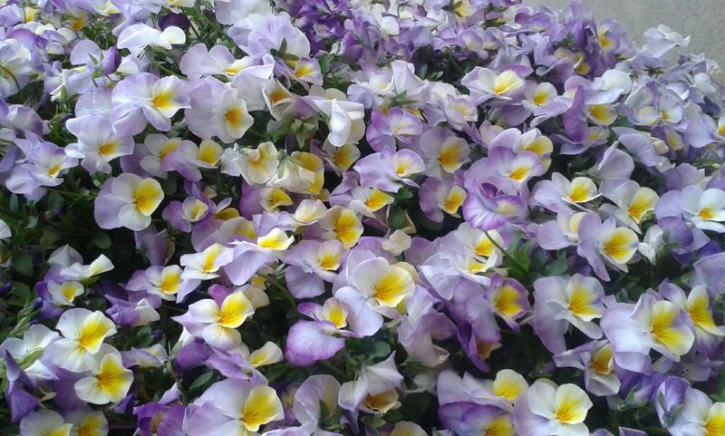 IMG-20170413-WA0047.jpg