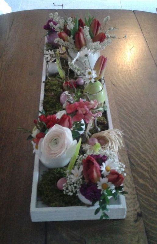 IMG-20170413-WA0049.jpg