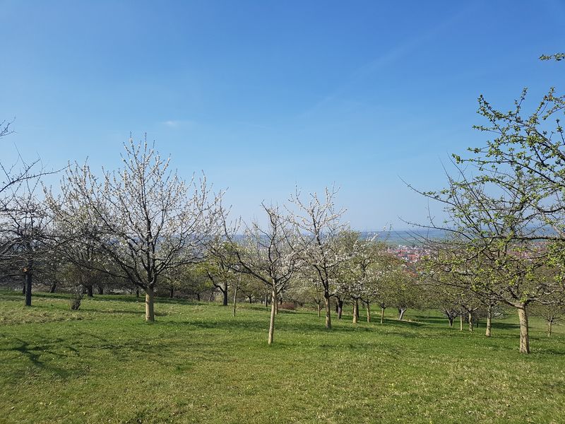 20170407_151203