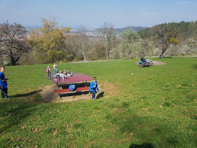 20170407_152750