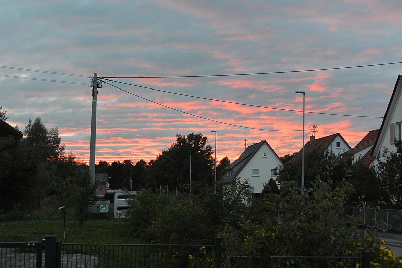 DSC_1300