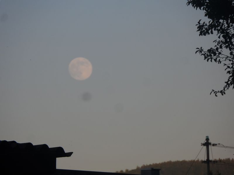 SAM_6176