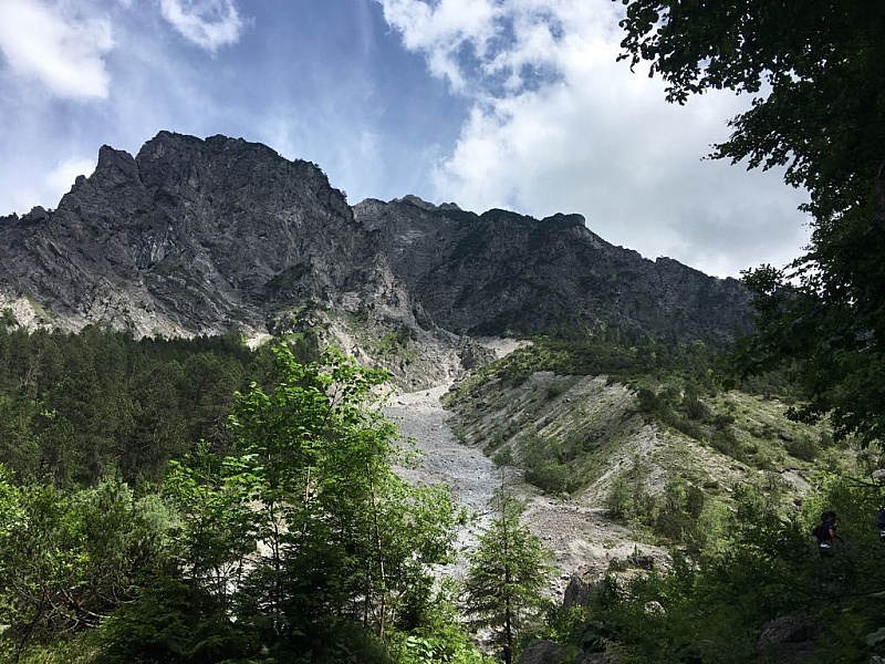 8e1b70e8-52ed-4d71-8fe3-93aa9c4a8261