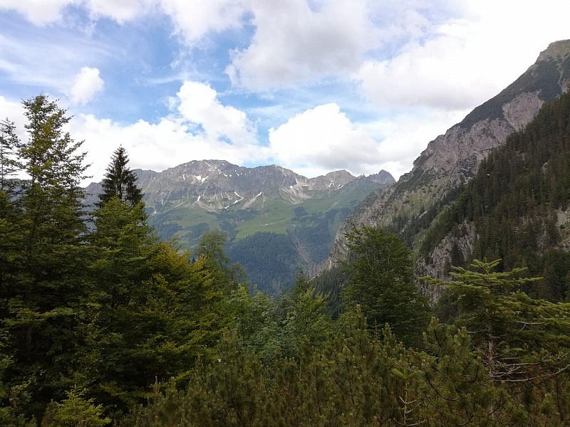 d02b95a0-4878-4bbd-b472-ae49096cbc47