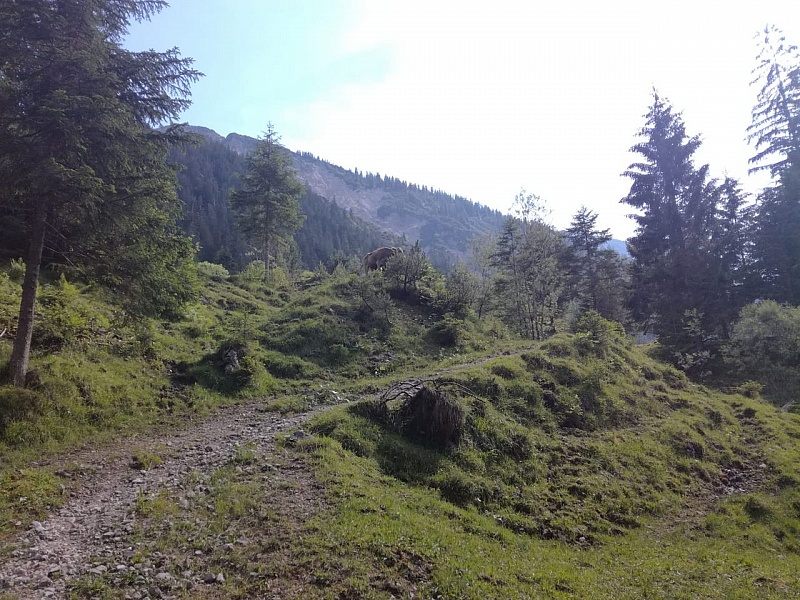 1d893205-5766-4a39-afb1-1469a6192a5f