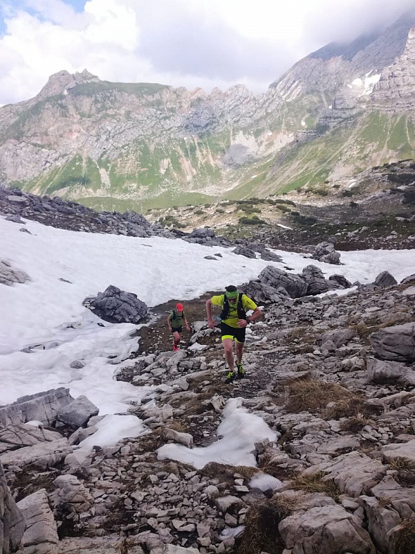 443aa78c-266f-4c0e-b4bd-9a0742c55283