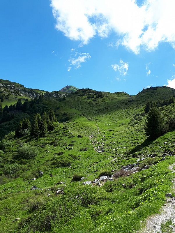 c7b93e62-af80-47e3-984f-8e4239b203f3