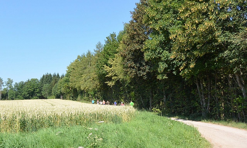 DSC_4690