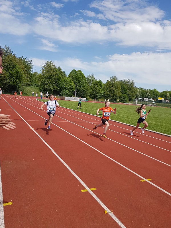20180429_140234(1)