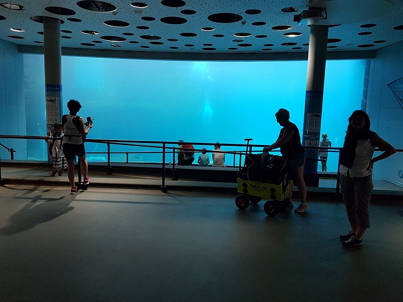 20180720_173811