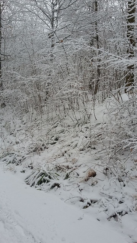 20180217_143836