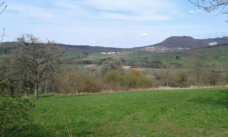 IMG-20180414-WA0016.jpg