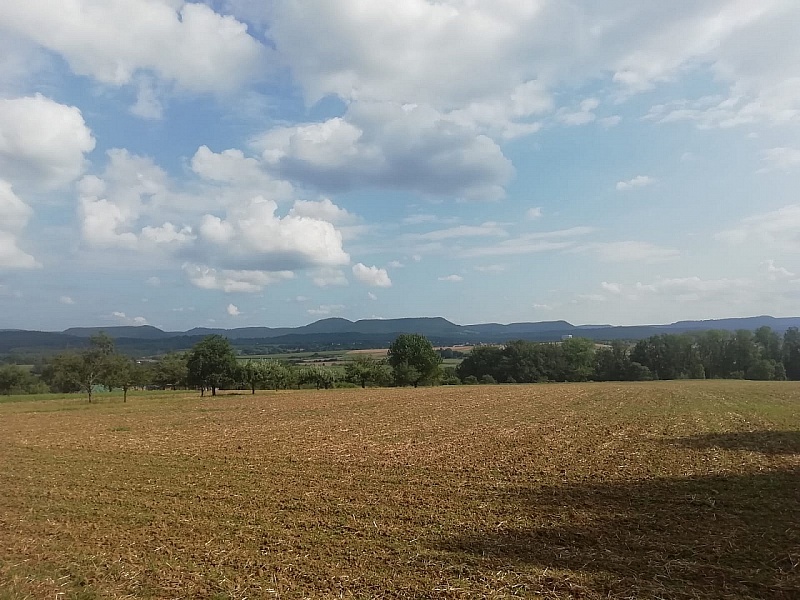 IMG-20190803-WA0019