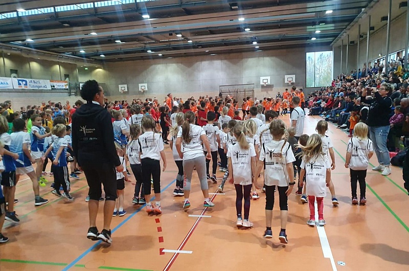 IMG-20191117-WA0029
