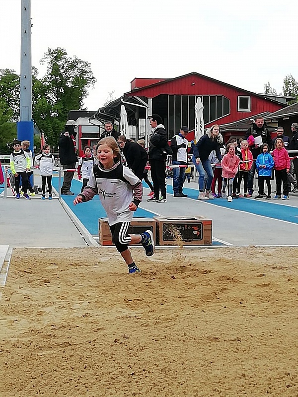 IMG-20190505-WA0029