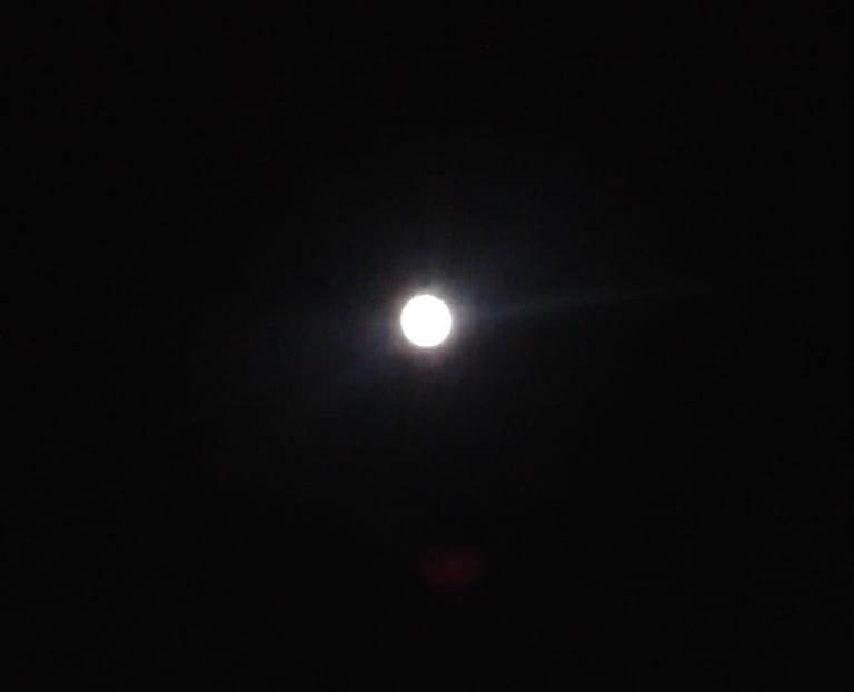 IMG-20190219-WA0001