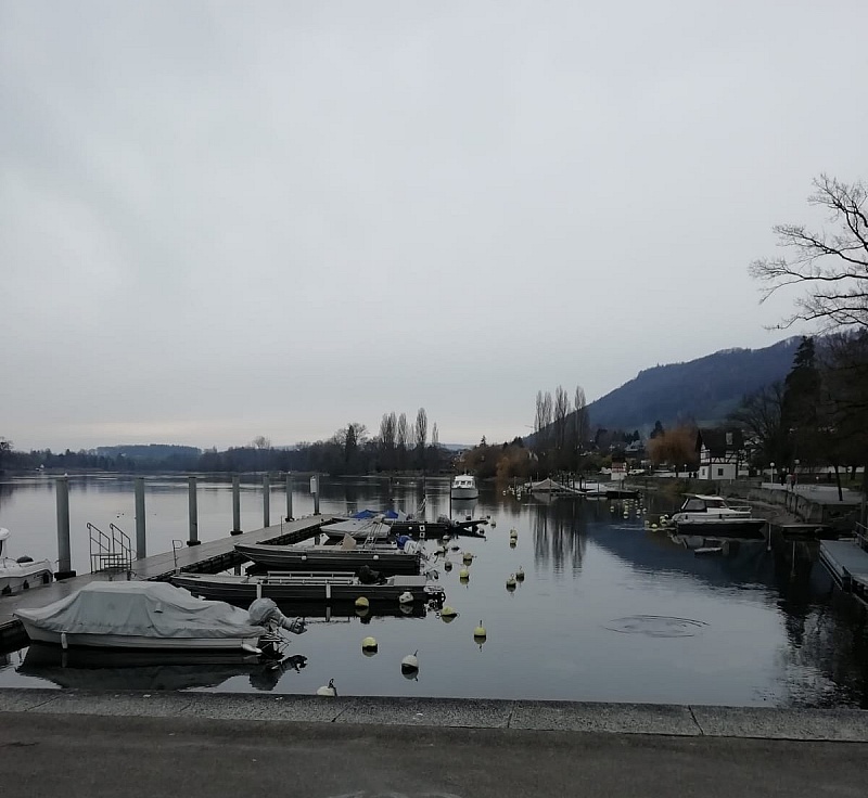 IMG-20191202-WA0000
