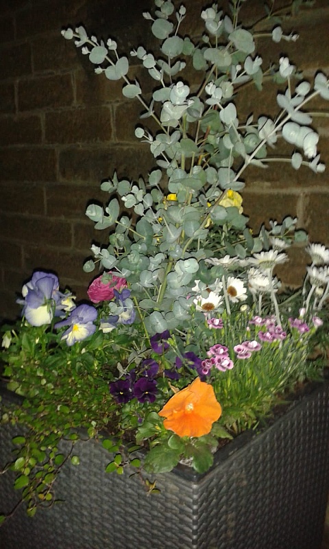 IMG-20190321-WA0002