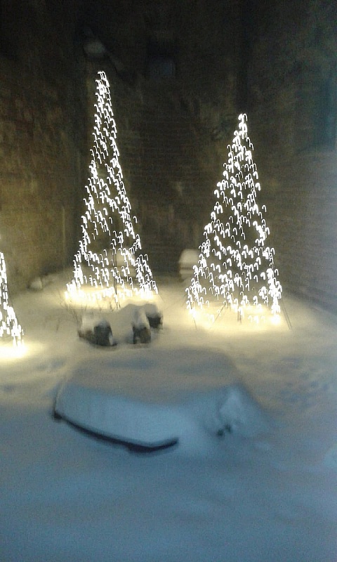 IMG-20190126-WA0003