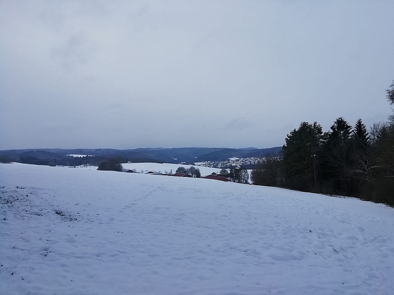 IMG-20210101-WA0011.jpg